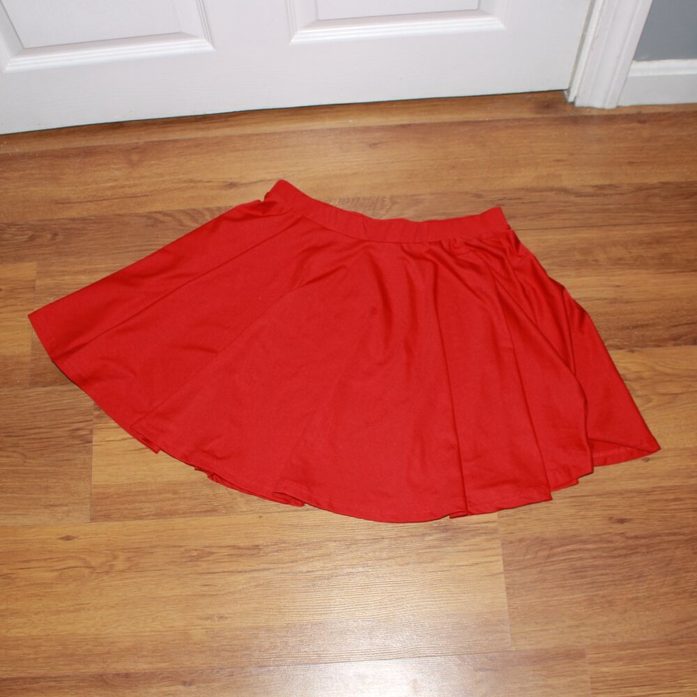 Unknown Brand Stretchy Skater Skirt